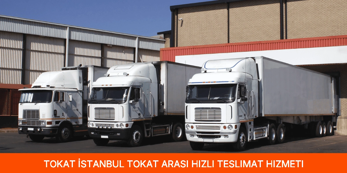 İstanbul Tokat Arası Hızlı Teslimat Hizmeti