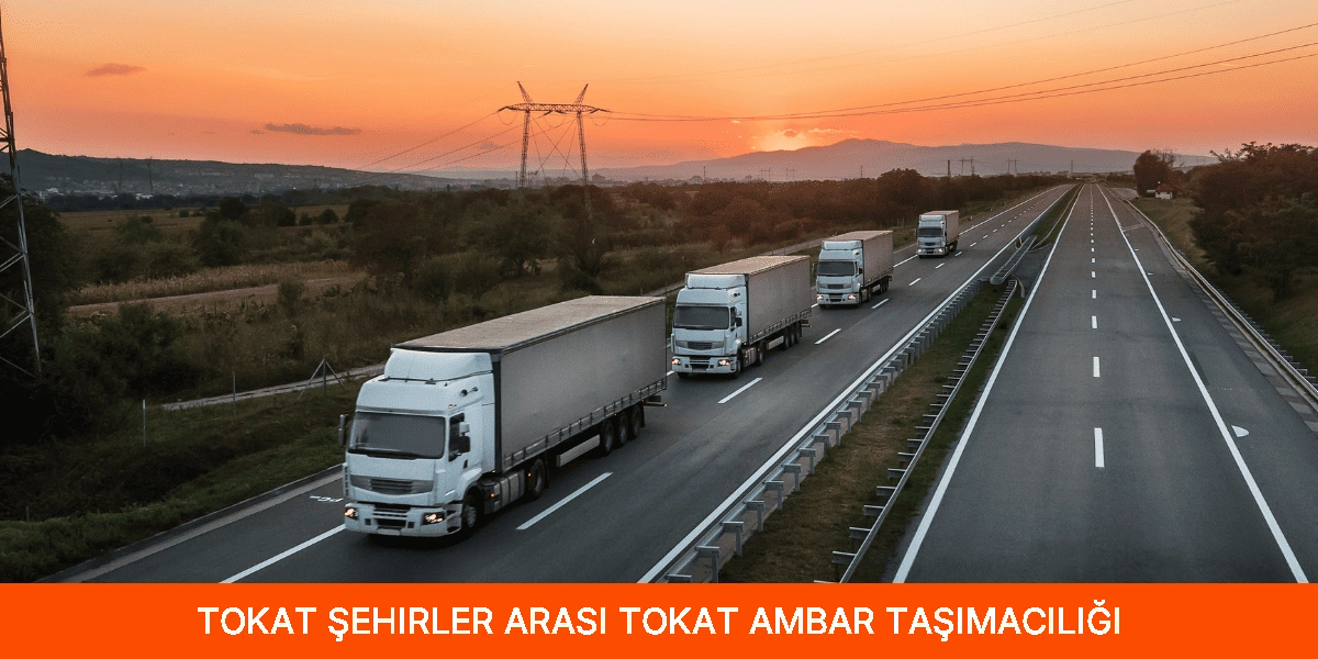 Şehirler Arası Tokat Ambar Taşımacılığı